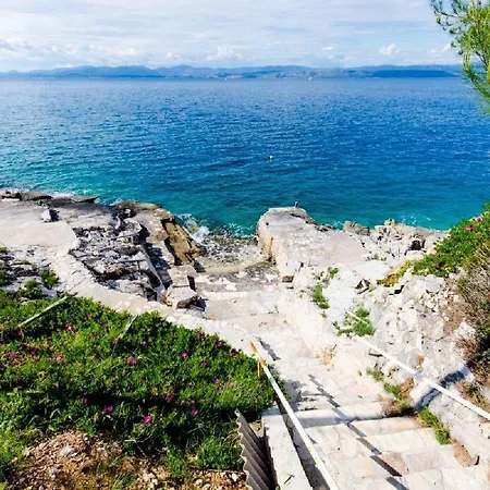 Barba * Rogač