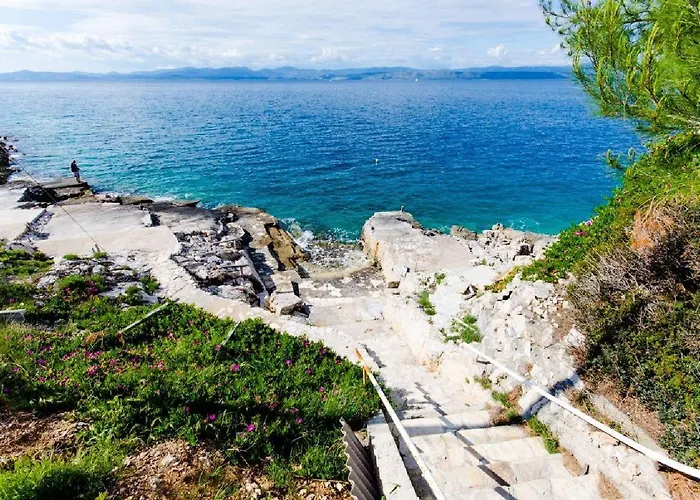 Barba * Rogač