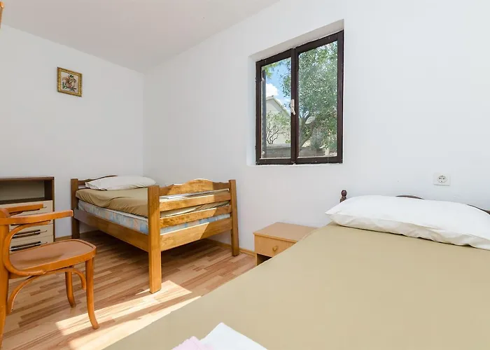Barba * Rogač